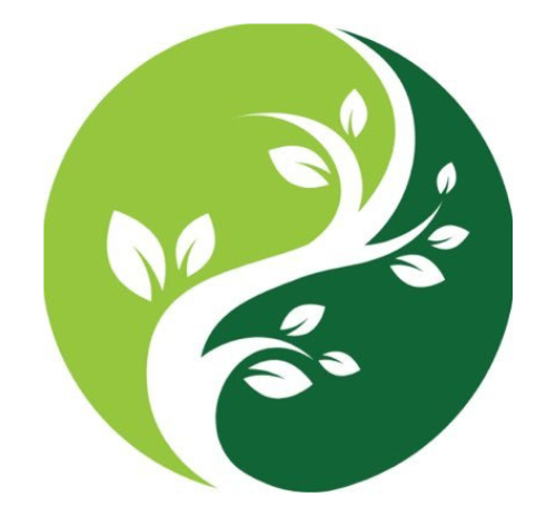 Youth Empowerment in Climate Action